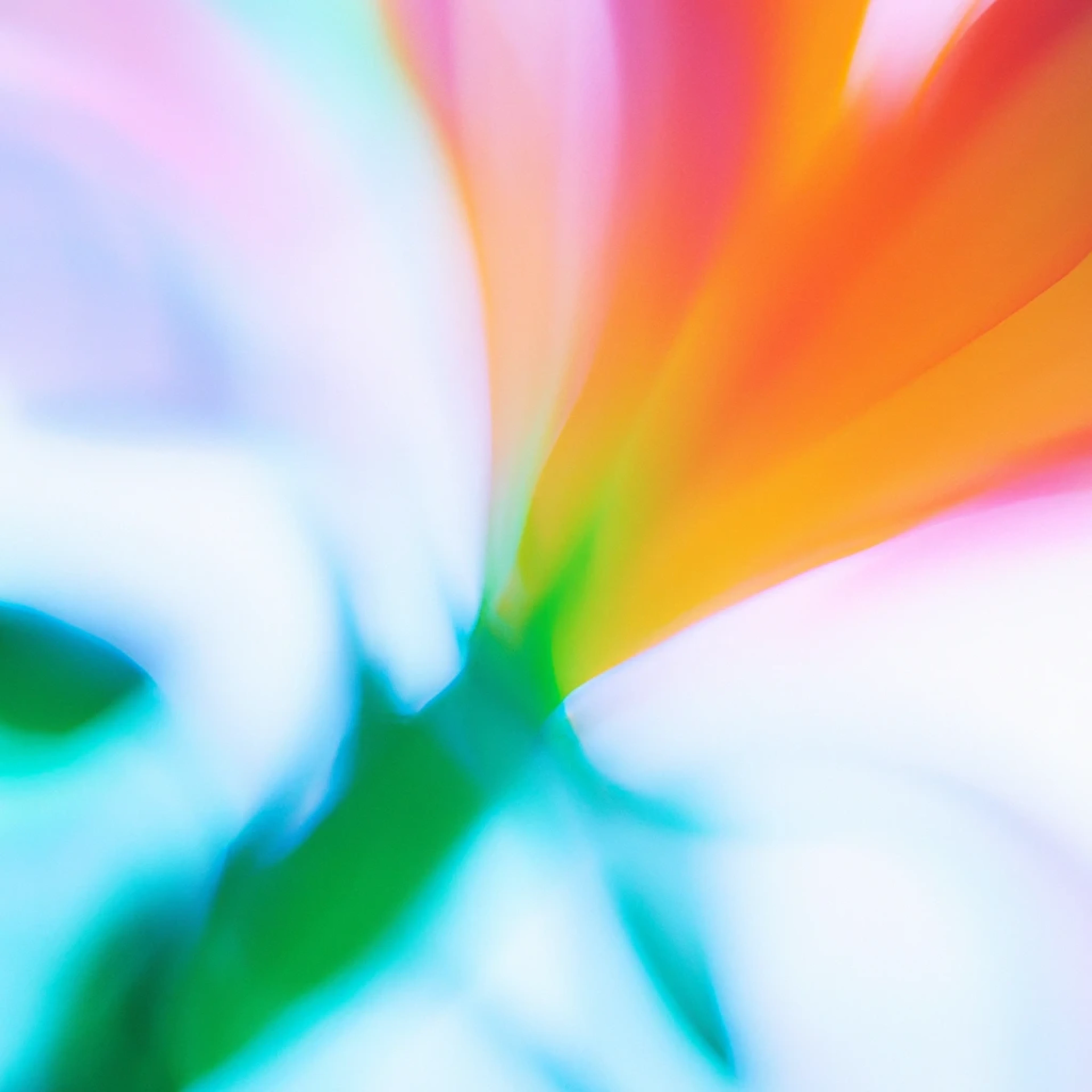 不要成为一个等待喂养的躯壳