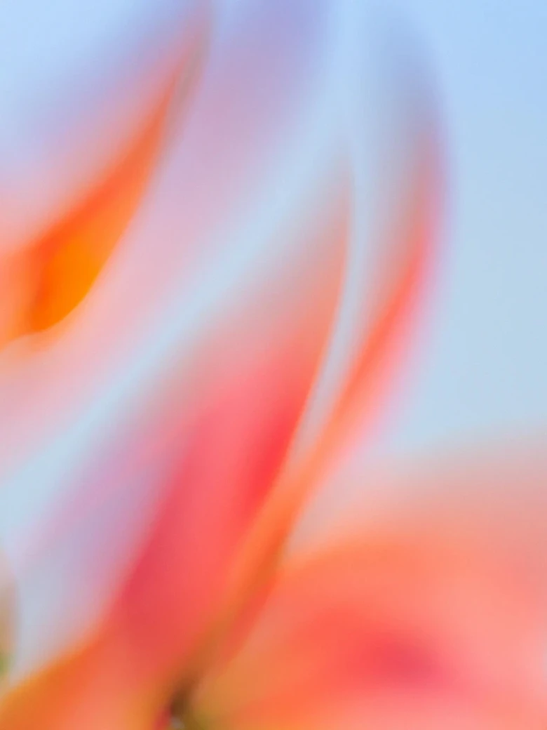 认知觉醒：关于如何自我提高的集大成者